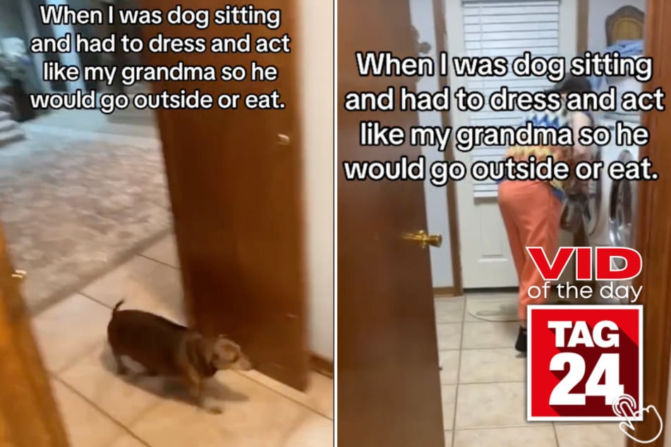 Today's Viral Video of the Day features a dog sitter that had to trick her pup into going outside!