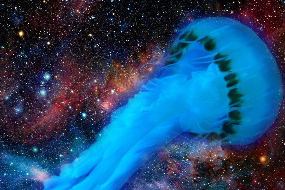 Is there a gigantic jellyfish floating through space? (collage, stock images).