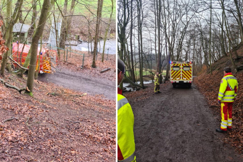Über den steilen Abhang (l.) wurde die Patientin mit einer Schleifkorbtrage auf den Waldweg hinabgelassen. Ein spezieller Gerätewagen brachte sie zum befestigten Teil des Gutsweges.