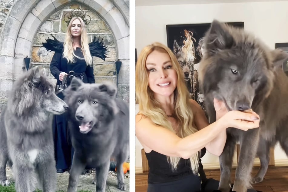Anneka Svenska (49) hat bereits Erfahrungen mit Wolfshunden und liebt es, sich mit ihren besonderen Vierbeinern mystisch in Szene zu setzen.