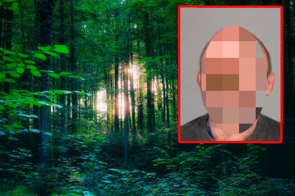 Polizei findet Leichenteile in Wald: Der Tote wird seit Jahren vermisst!