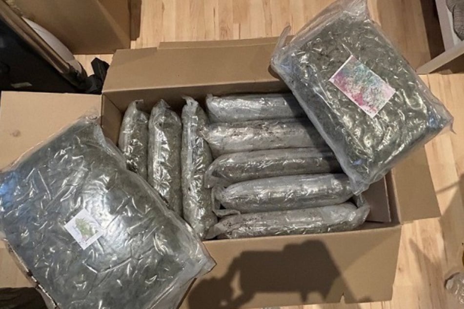 In einem DHL-Paket wurden dem Tatverdächtigen etwa 20 Kilogramm Marihuana geschickt.