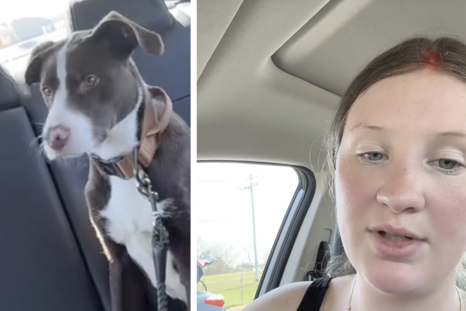 Auf ihrer ersten tierischen Uber-Fahrt adoptierte Hope einen jungen Hund.