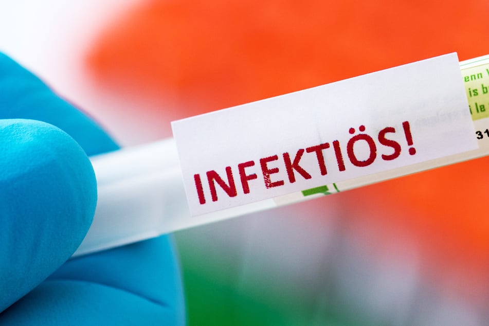 Proben für Corona-Tests werden in einem Diagnostik-Labor für die weitere Untersuchung vorbereitet. (Symbolbild)