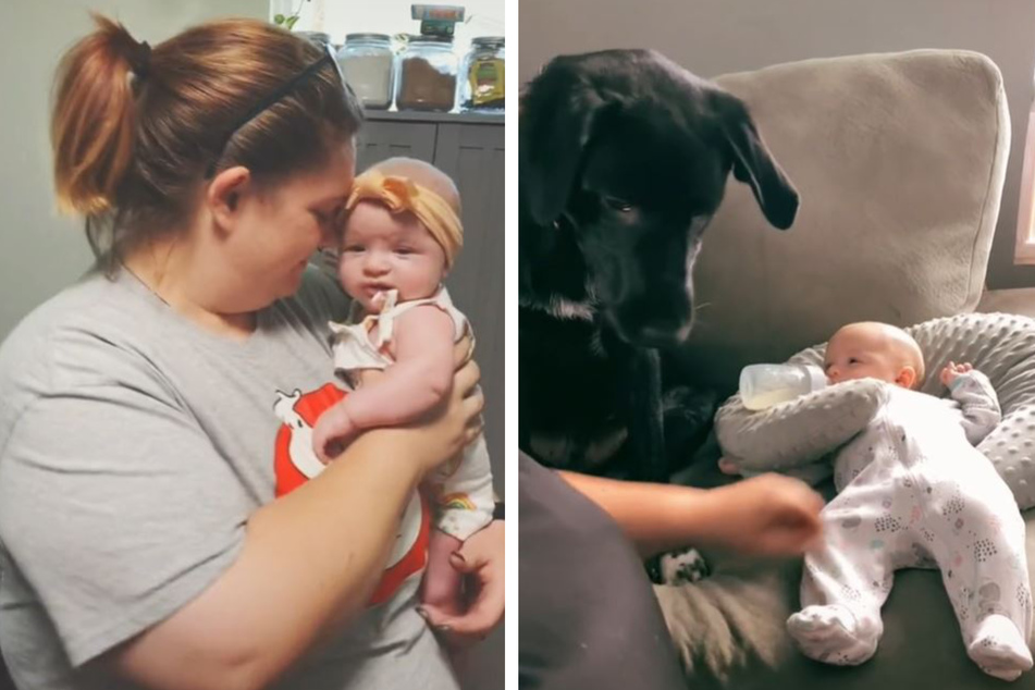Mama Eryn Ferguson-Billings kuschelt mit ihrem Baby Zaine. Doch, wenn Rüde Toby dabei ist, wird es eng... (Bildmontage).
