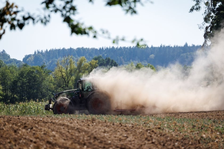 Vor allem die Landwirte warten auf den Regen. (Symbolfoto)