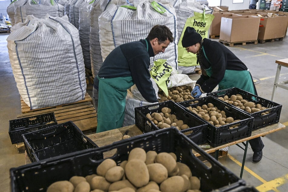 Der Streit eskalierte in einer Gemüsehalle, in der geerntetes Gemüse weiterverarbeitet wird. (Symbolbild)