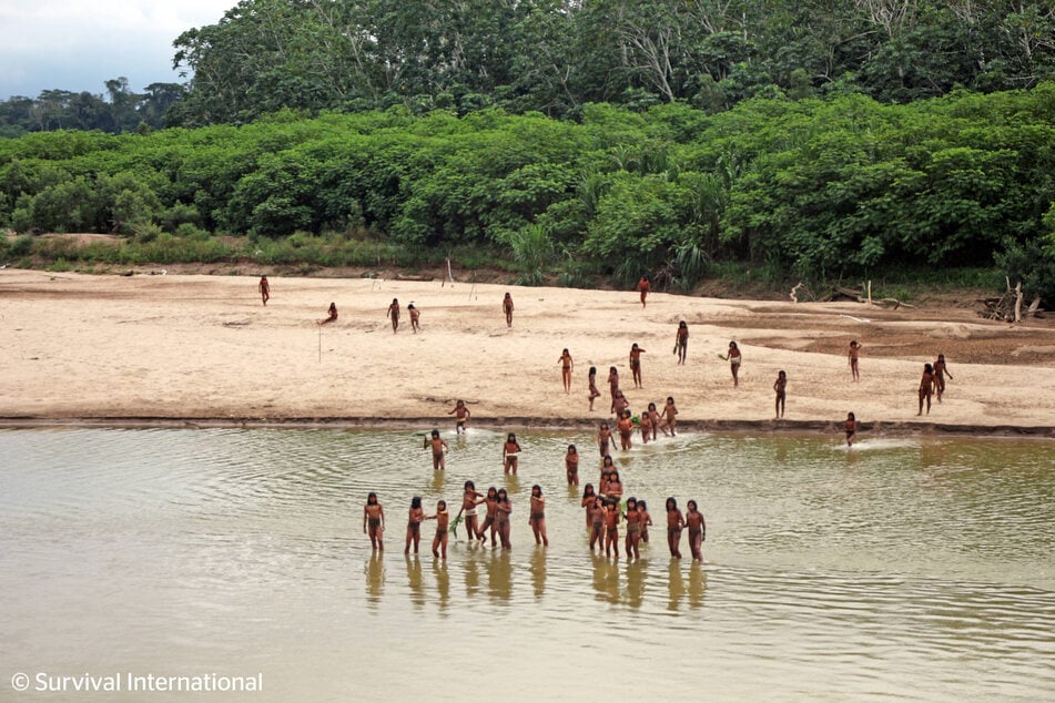 Mehr als 50 Stammesmitglieder wurden im Juli unweit des peruanischen Dorfes Monte Salvado gesichtet.