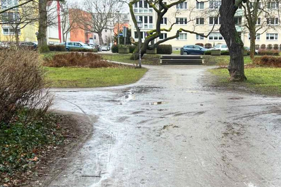 Stadt investiert zehntausende Euro: Wege im Nordpark werden erneuert