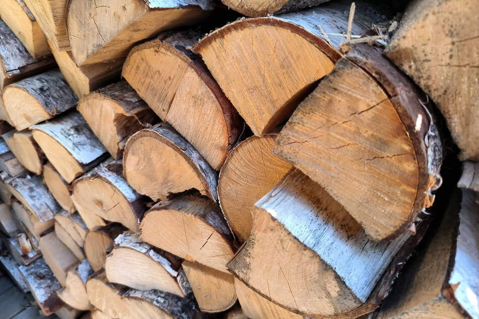 Brennholz war im vergangenen Jahr sehr begehrt. (Symbolbild)