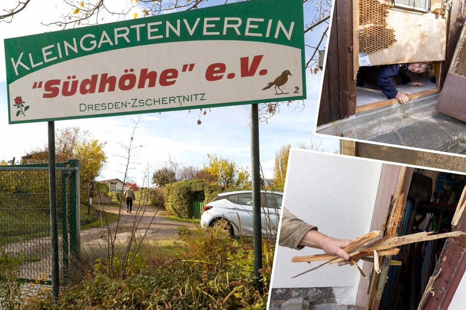 Dresden: Rowdys brechen in Lauben ein: Sinnlose Zerstörungswut in Dresdner Gartensparte