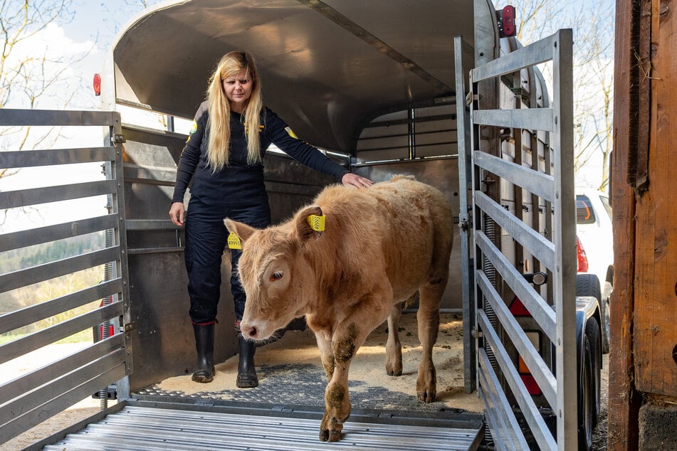 Die ersten Schritte ins neue Leben: Conny Böttger (50) begleitet Arielle aus dem Transporter auf den Lebenshöfe in Börnchen.