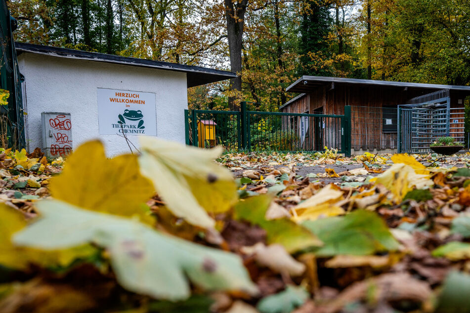 Auch der Tierpark in Chemnitz wird finanziell bedacht und erhält eine Unterstützung in Höhe von 250.000 Euro.