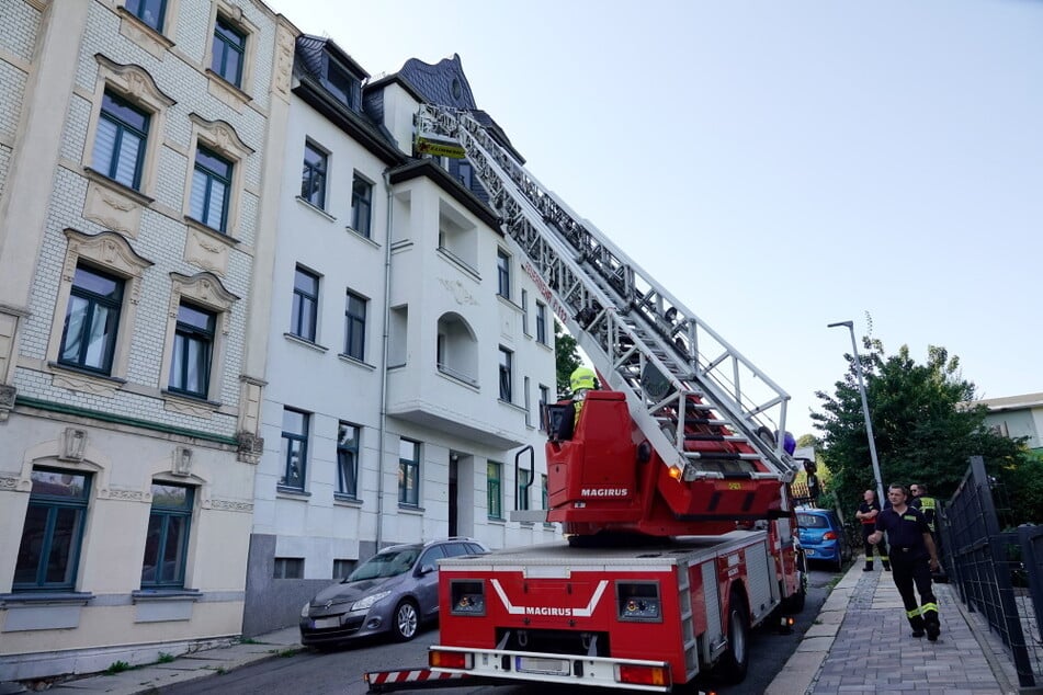Mit der Drehleiter versuchten Polizisten den Hund zu fangen.