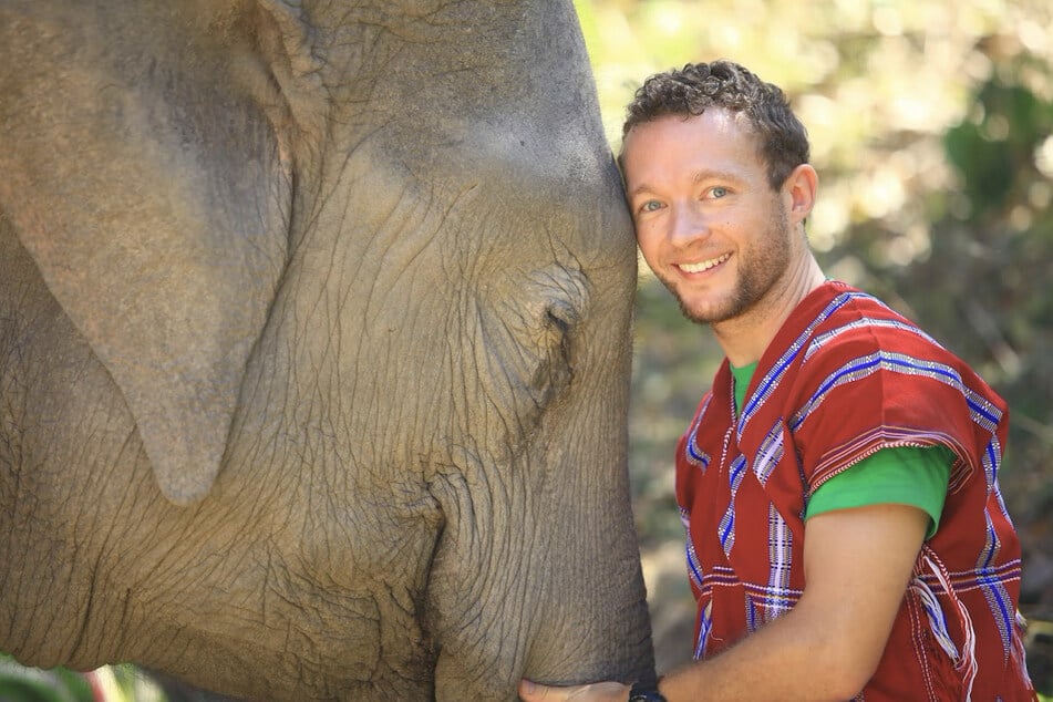 Chris Kaiser (33), der Gründer und CEO von Click A Tree, mit einem Elefanten.