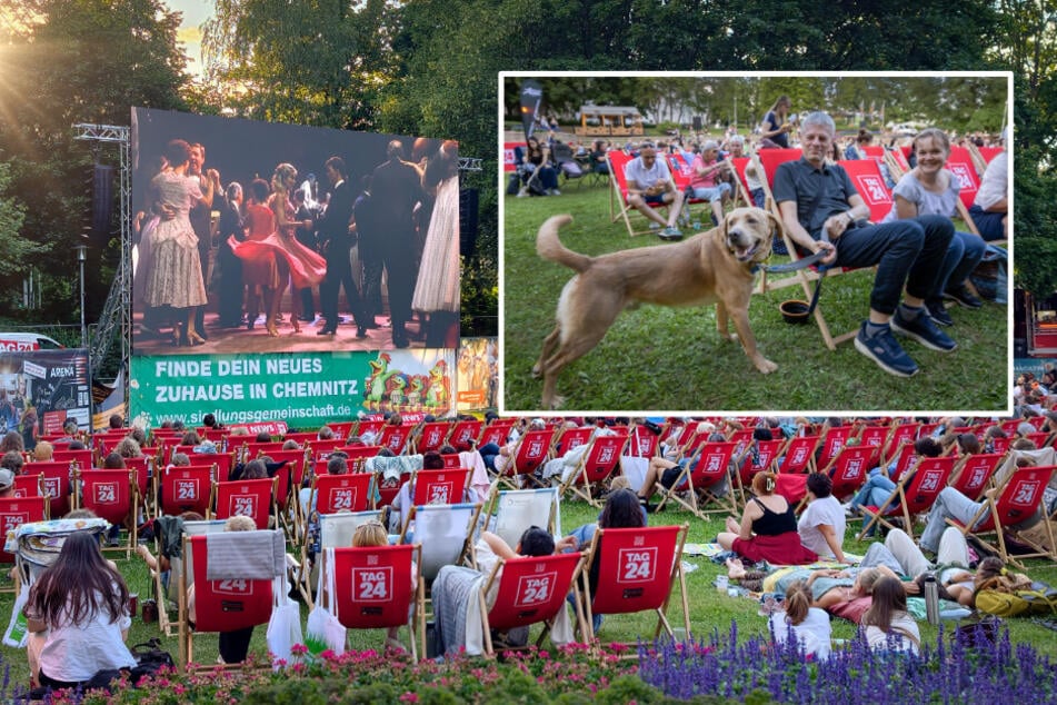 So schön ist das TAG24-Sommerkino in Chemnitz: Letzte Chance, um noch einmal dabei zu sein