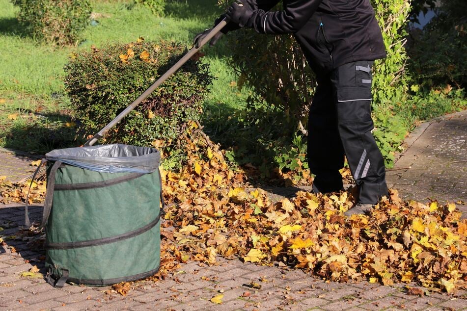 Mit einem Rechen kann man Laub auch umweltfreundlich zusammenkehren und entsorgen.