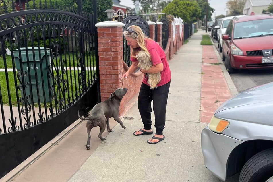 The dog knew that Suzette was there to help them.