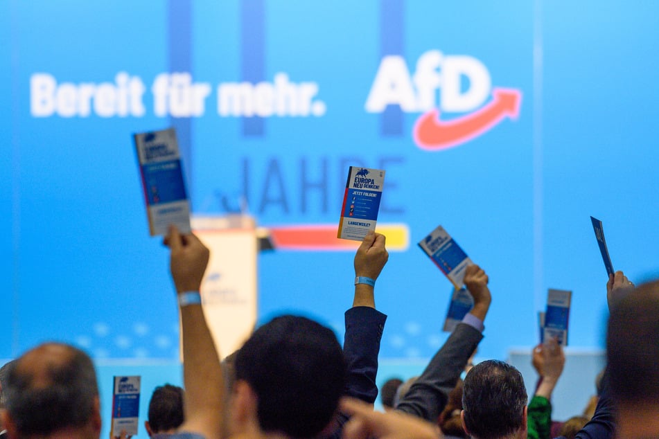 Im August kamen Delegierte der AfD in Magdeburg zur Europawahlversammlung zusammen.
