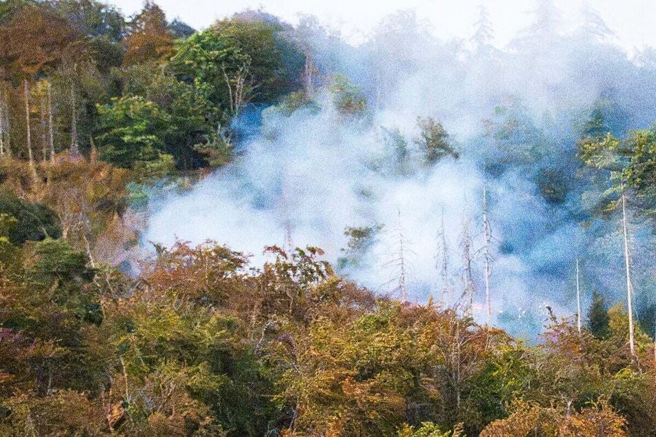 Waldbrand im südhessischen Rheingau-Taunus-Kreis: Ein rund 25.000 Quadratmeter großes Waldstück war betroffen.