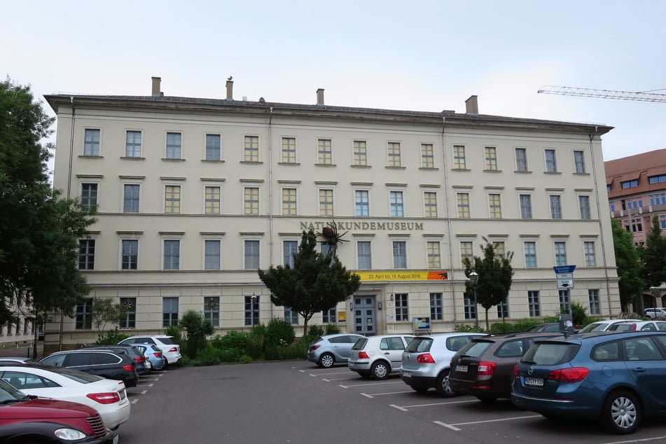 Das Gebäude des Naturkundemuseums in der Lortzingstraße muss dringend saniert werden - Zeit für das Museum, den Absprung zu wagen.