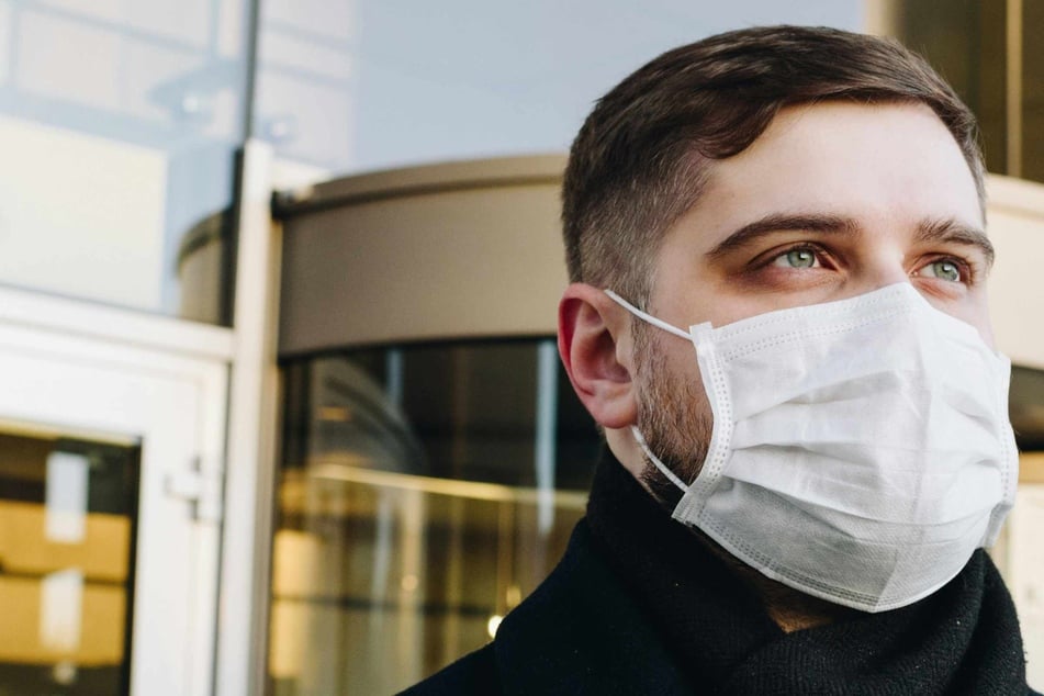 Bird flu cases in mammals double – what does this mean for risk of human spread?