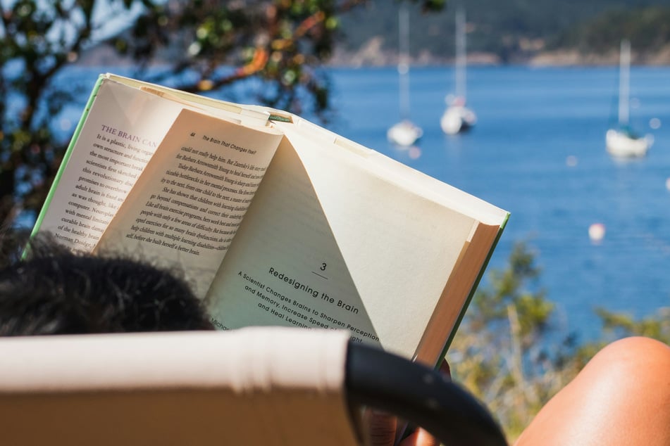 Maggie O'Farrell, Anne Patchett, and more authors return with new reads this June.
