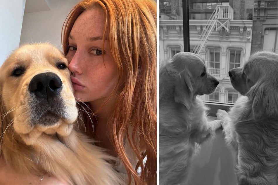 Meredith Duxbury (26) ama a sus dos golden retrievers, Crumpet y Pancake, más que a nada.