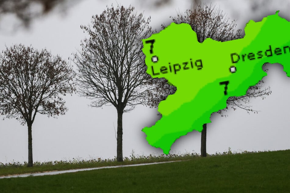 Nach erstem Schneefall: So mild wird es am Wochenende in Sachsen
