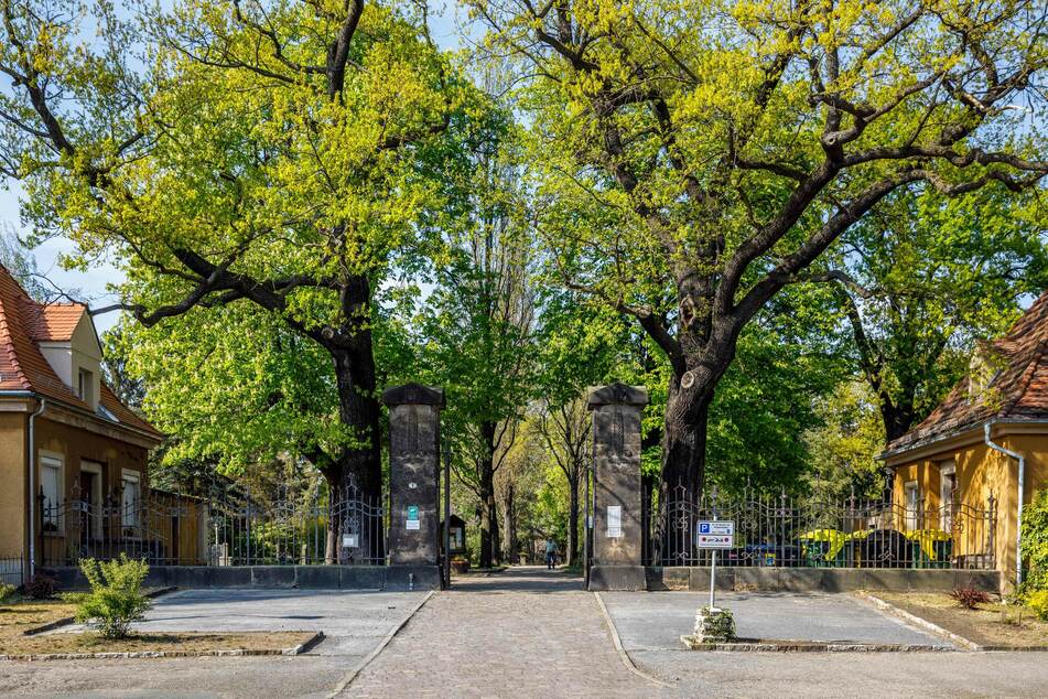 14 Uhr startet die Führung über den Trinitatisfriedhof.