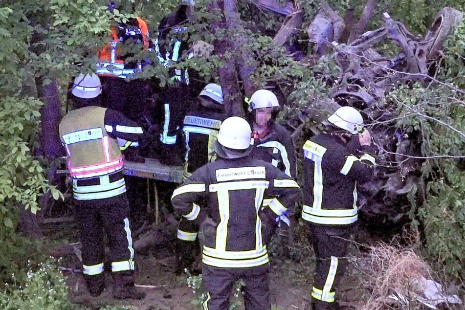 Das Foto zeigt Einsatzkräfte der Feuerwehr in dem Wald bei der A67, im Hintergrund ist der zerstörte Porsche zu sehen.