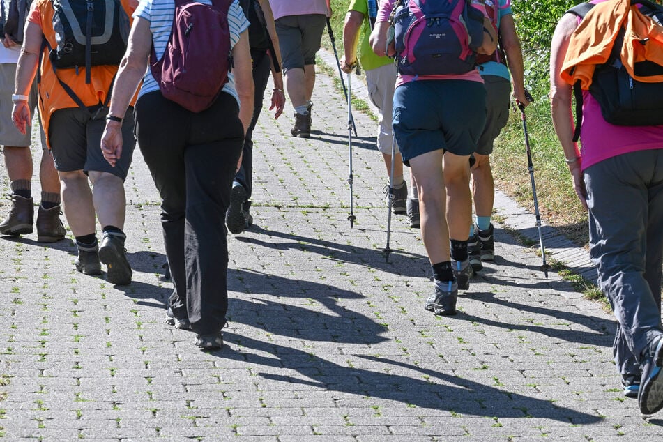 Wanderverband verlangt Gleichstellung mit organisiertem Sport