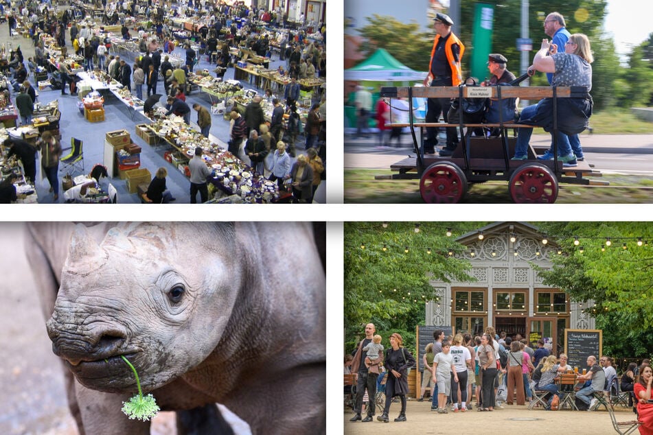 Feste und Musik: So wird Euer Samstag in Magdeburg unterhaltsam