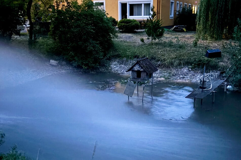Der Weiher war nahezu ausgetrocknet.