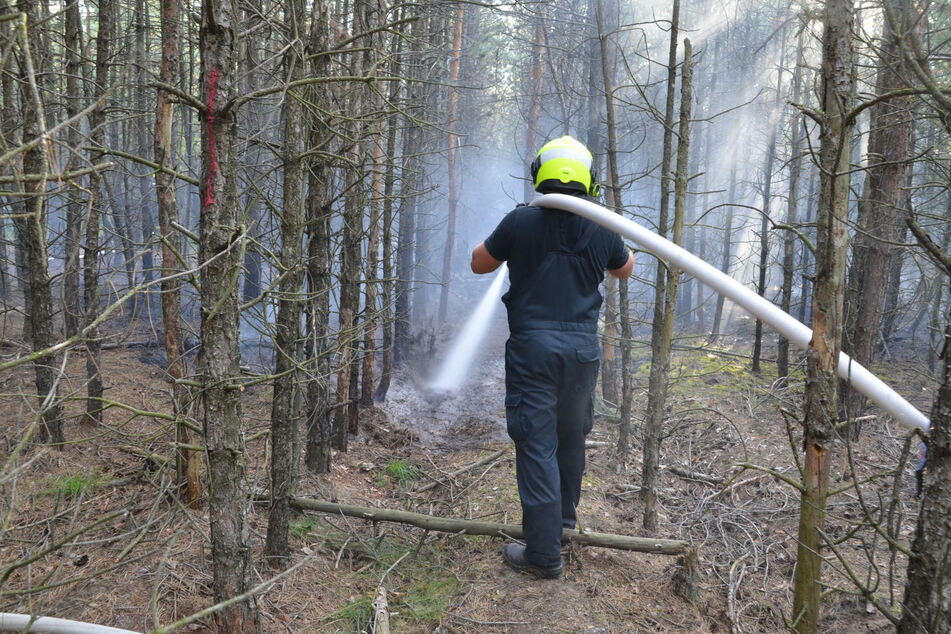 Östlich von Spremberg brannte es zudem großflächig in einem Waldstück.