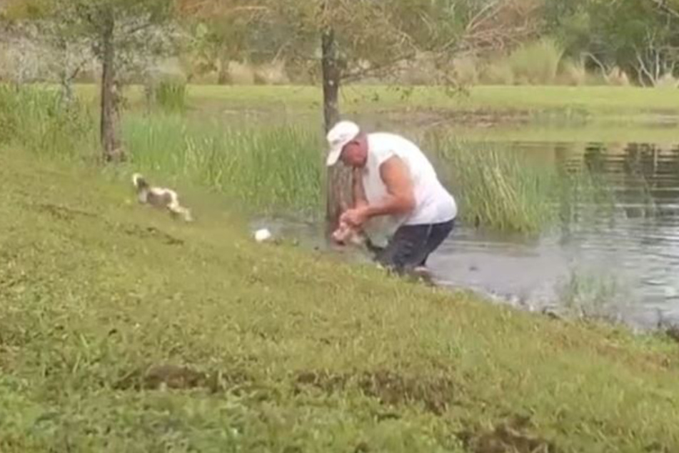 The man wrestled with the alligator for a while.