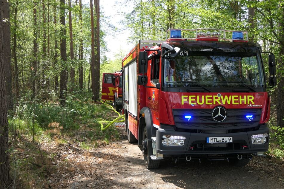 Leipzig: War die Hitze schuld? Waldfläche im Colditzer Forst geht in Flammen auf