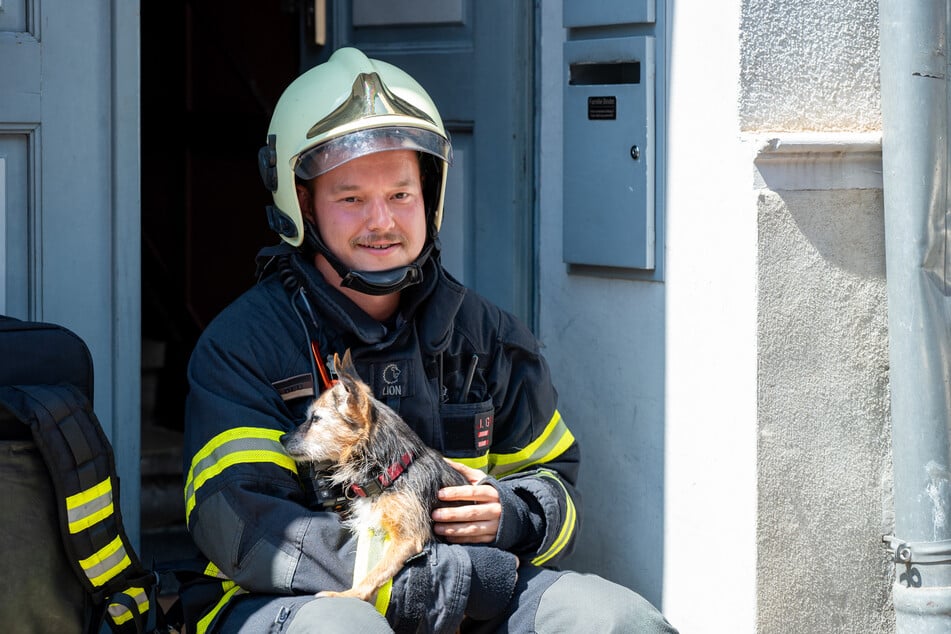 Die Feuerwehr holte den Vierbeiner aus der Wohnung, eine Nachbarin nahm in anschließend in Obhut.
