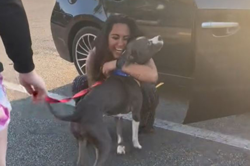 Hamm's owner was thrilled to be reunited with her long lost dog.