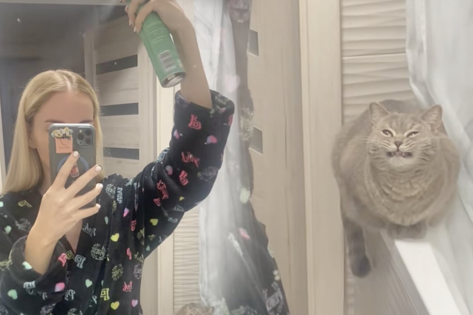 Blondine macht sich im Bad zurecht: Als sie die Reaktion ihrer Katze sieht, muss sie sofort filmen