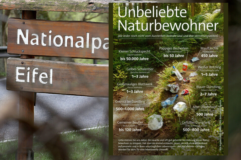 Nationalpark Eifel zeigt unbeliebte Naturbewohner, Besucher sind schuld!