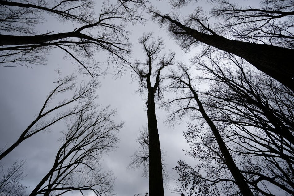 In den nächsten Tagen bleibt es grau und regnerisch in NRW.