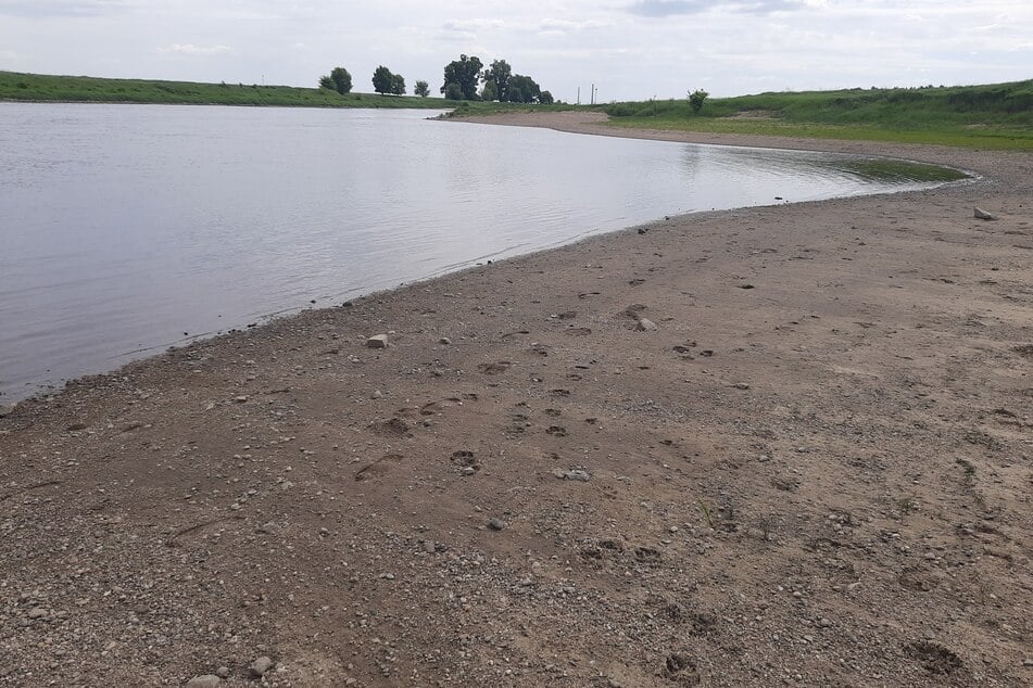 Spaziergänger entdeckt Knochen an der Elbe: Handelt es sich um Leichenteile?