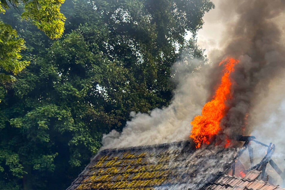 Inferno im Norden: Feuerwehr gibt Warnung an Bevölkerung heraus