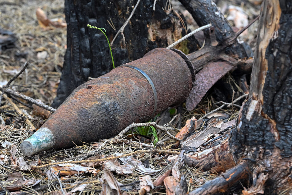 In einem Wald in Niedersachsen wurde eine Panzergranate aus dem Zweiten Weltkrieg entdeckt. (Symbolbild)