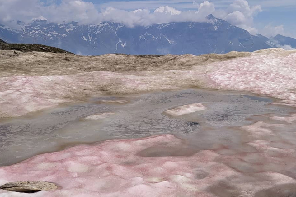 Rosa Schnee in den Alpen! Eine Gefahr für den Menschen?