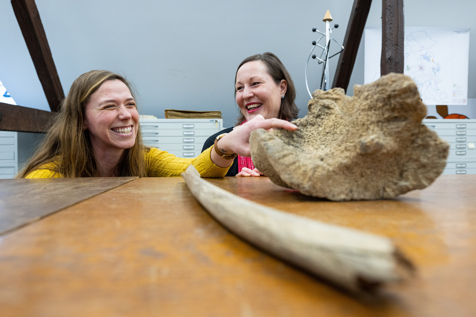 Archäologin Julia Ricken (l.) und die Finderin Simone Grundmann schauen sich die uralten Knochen mehrerer Mammuts an.