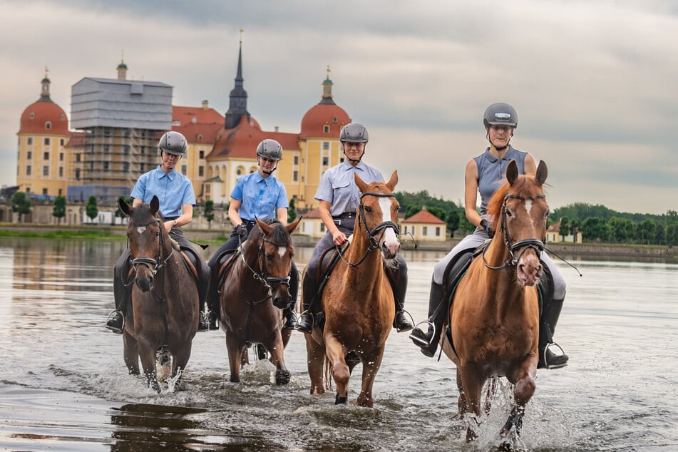 Das Training findet bei der aktuellen Hitze in den Morgenstunden statt. Danach führen die Azubis die Pferde zurück in den Stall.