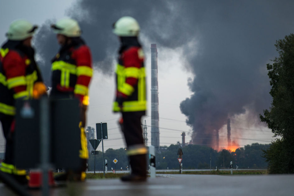 Mehrere Feuerwehrleute sind im Einsatz.