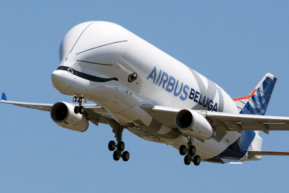 Der neue BelugaXL erhält erstmals ein Lächeln als Lackierung.